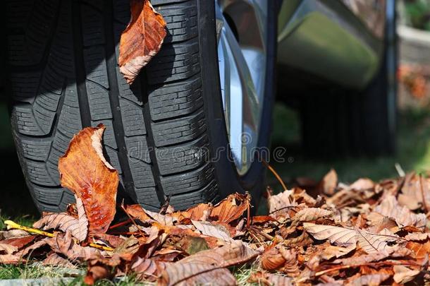 冬轮胎为秋和冬.冬轮胎为湿的拖鞋