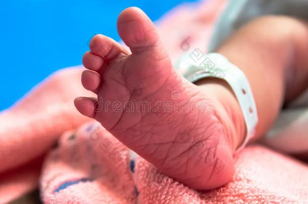 脚关于新生的婴儿采用产后的关心单位采用医院什么时候int.安静