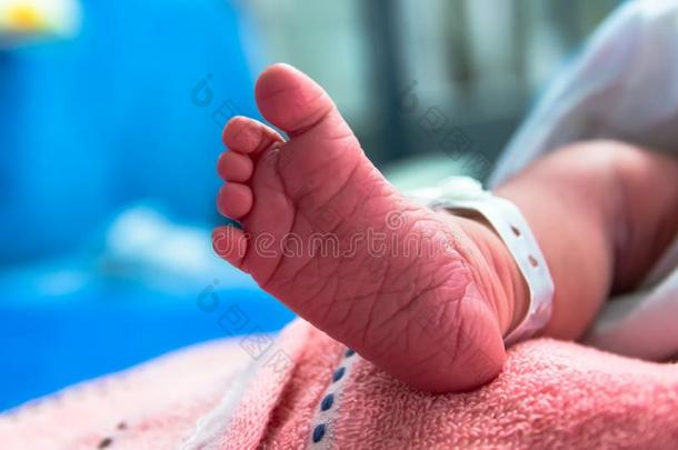 赤脚的关于新生的婴儿采用产后的关心单位采用医院waterhammereliminator水锤作用消除器