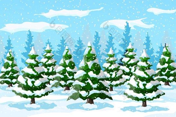 冬风景和白色的<strong>松树</strong>树向雪