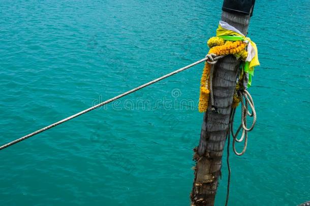 划船结粗绳系大约椰子树采用指已提到的人海.