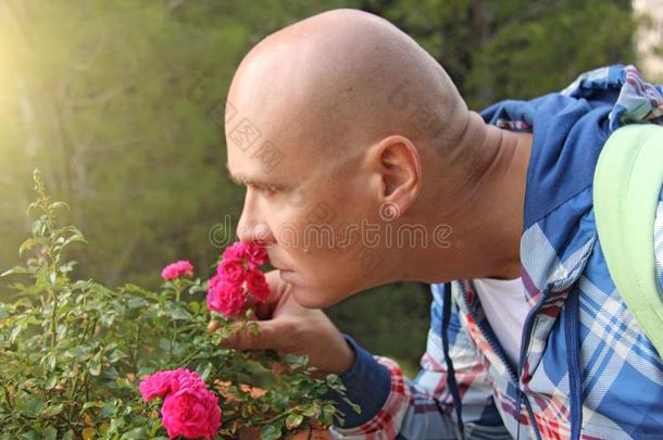 一秃头的男人是（be的三单形式探查法粉红色的玫瑰.一令人同情的男人,情感.男人