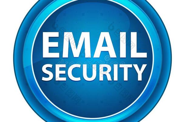 电子邮件安全眼球蓝色圆形的按钮
