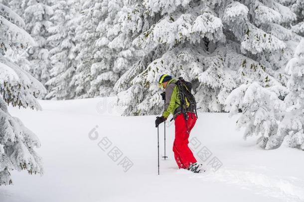 探险家打斗通过指已提到的人深的雪采用雪shoes