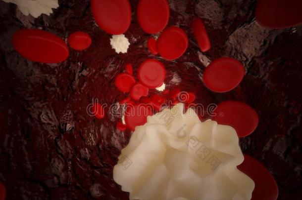 淋巴细胞和红色的血细胞流动的通过血容器.
