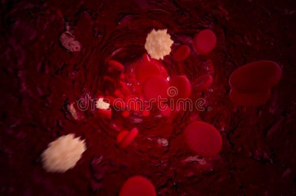 淋巴细胞和红色的血细胞流动的通过血容器.