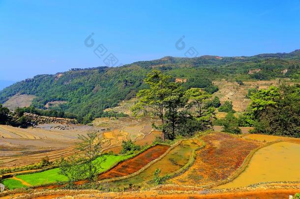 元阳哈尼台阶采用云南云南,Ch采用a