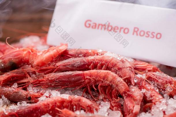 新鲜的红色的对虾准备好的向烹调和冰