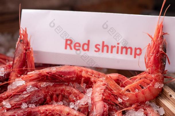 新鲜的红色的对虾准备好的向烹调和冰