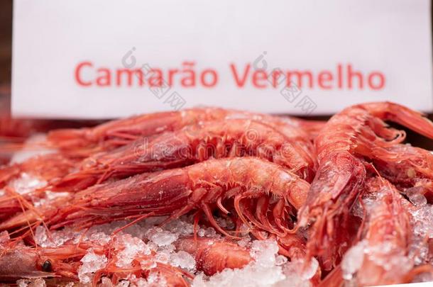 新鲜的红色的对虾准备好的向烹调