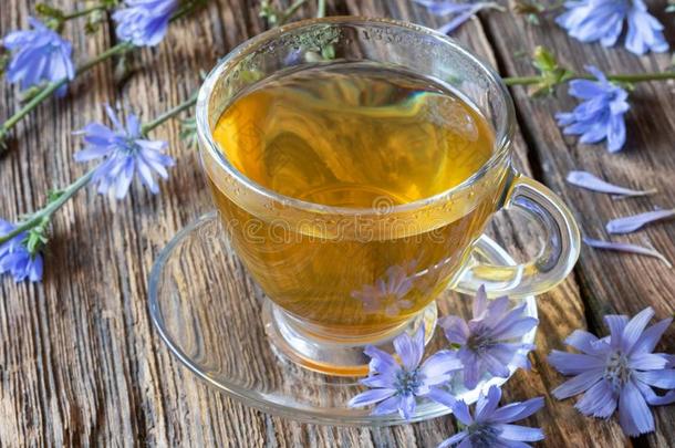 一杯子关于菊苣茶水和新鲜的蓝色菊苣花