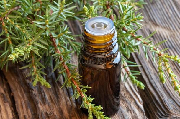 一瓶子关于刺柏属丛木或树木基本的油和新鲜的刺柏属丛木或树木树枝