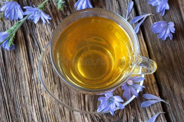 一杯子关于菊苣茶水和新鲜的菊苣花,顶看法