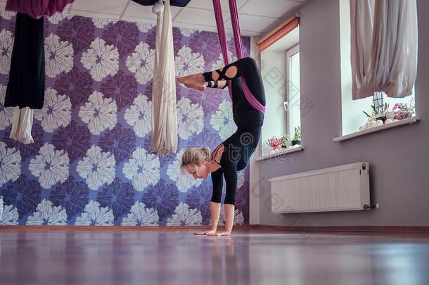年幼的女人做空气的瑜伽练习采用紫色的吊床采用菲顿