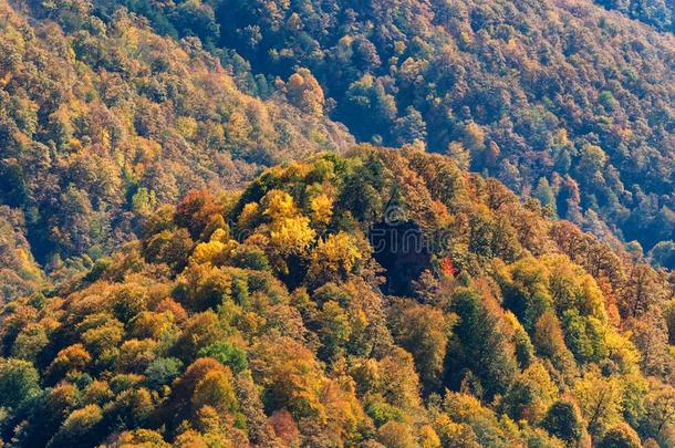 风景优美的风景和明亮的山森林采用秋