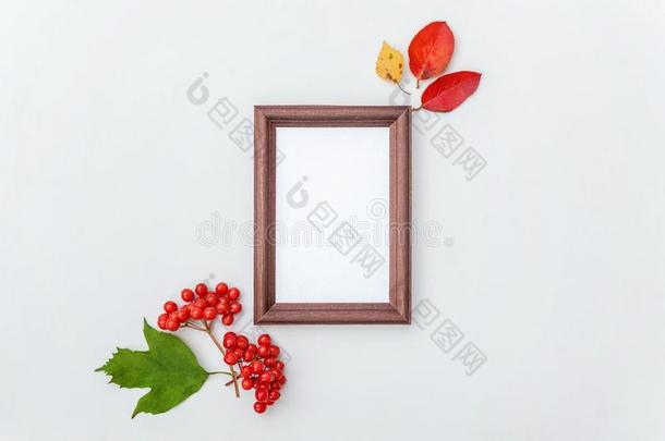 秋作品照片框架,富有色彩的树叶和荚莲属的植物第二类开尔文<strong>函</strong>数