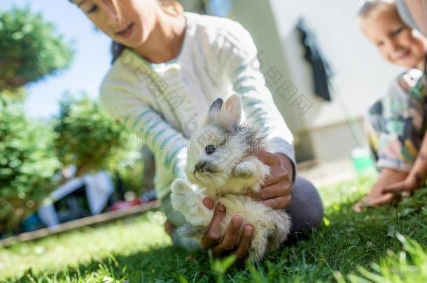 女孩佃户租种的土地她毛皮的小的宠物兔子