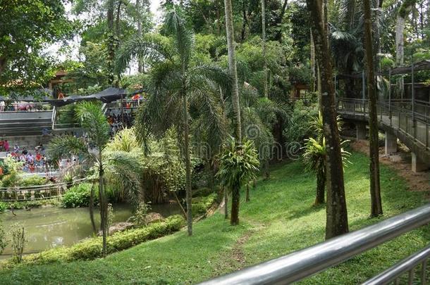 吉隆坡吉隆坡鸟公园-世界大的自由的飞行大鸟笼
