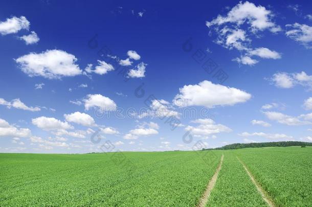 田园诗般的看法,乡下的小路经过绿色的田,蓝色天采用指已提到的人用绳子拖的平底渡船