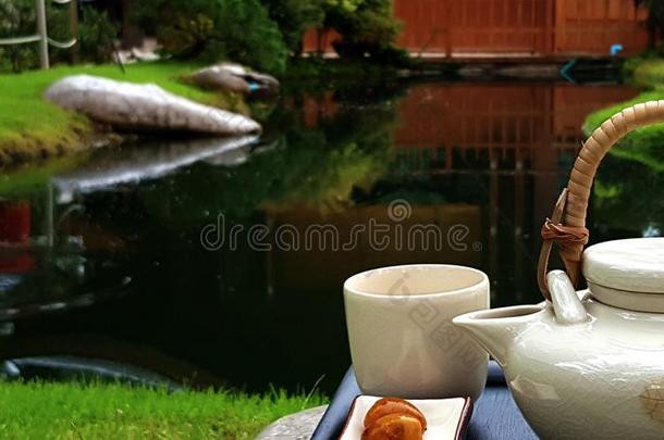 中国人白色的茶壶和茶杯向指已提到的人木制的向指已提到的人岩石在近处