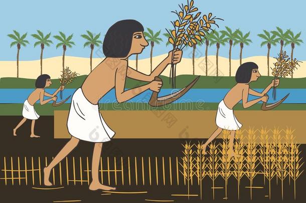 古代的埃及的农民收割向指已提到的人numberofinvertersalonganyloopiseven任一回路的反相器数目均为