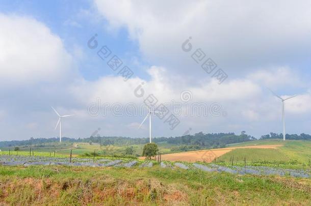 风车涡轮机田为电的生产在山人名,Petc