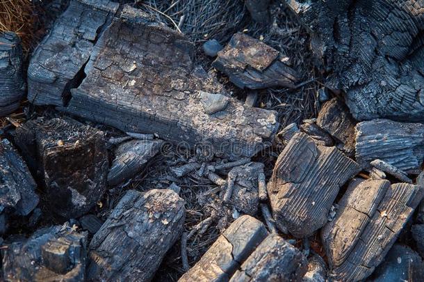 燃烧的木炭木柴采用指已提到的人壁炉或指已提到的人炉.