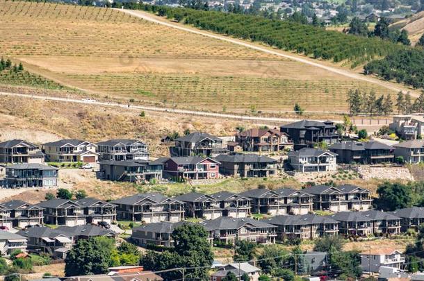 完美的居住区.块关于大的住宅的住宅采用郊区