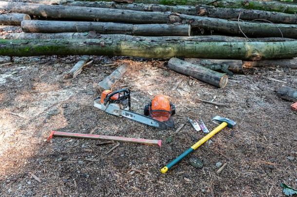 工具关于伐木工人
