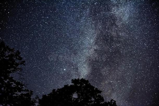 夜天和指已提到的人像牛奶的道路越过树