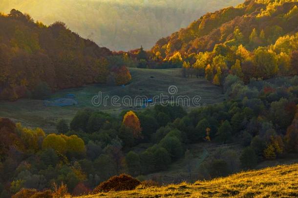 富有色彩的秋风景.喀尔巴阡山脉的山,罗马尼亚,欧洲