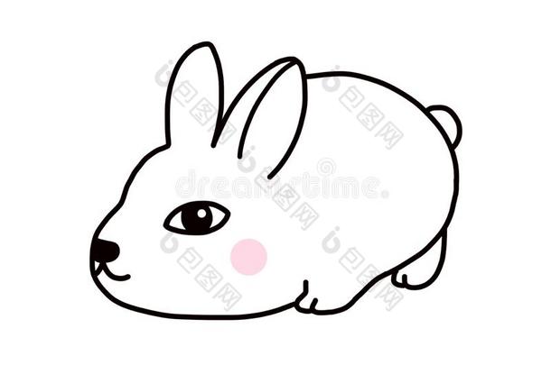 一漂亮的白色的兔子爱吃胡萝卜