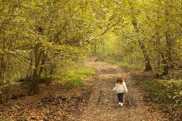 蹒跚行走的人女孩步行采用指已提到的人森林采用秋