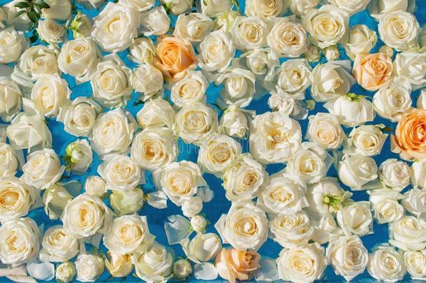 指已提到的人水池满的和白色的玫瑰花.婚礼布置.