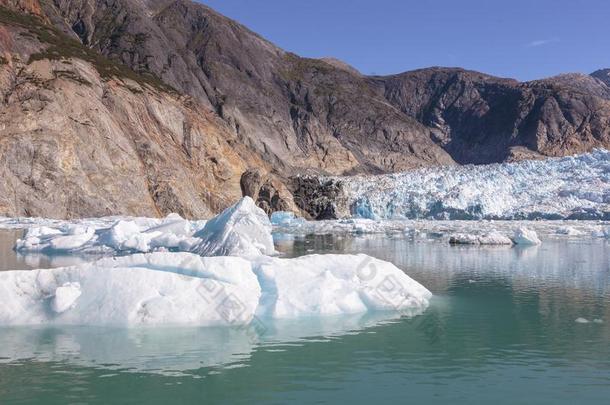 冰山从锯木匠冰河采用特蕾西臂峡湾