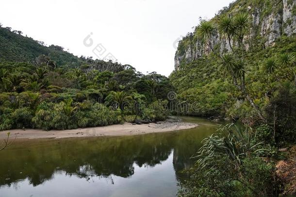 Pororai河在近处普纳凯基向西海岸,新的西兰岛