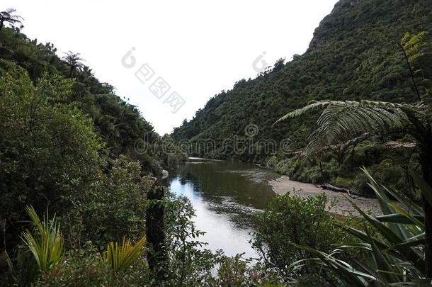 ♪Pororai♪河在近处普纳凯基向西海岸,新的西兰岛