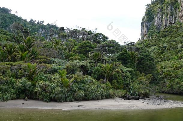 ♪Pororai♪河在近处普纳凯基向西海岸,新的西兰岛