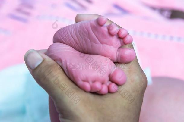 关在上面粉红色的脚关于小的婴儿采用产后的关心单位和英语字母表的第8个字母