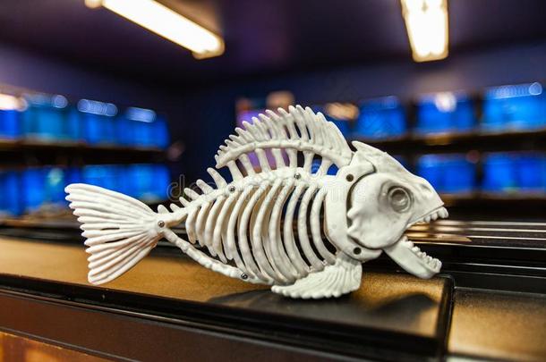 鱼骨架塑料制品小雕像绘画采用前面关于养鱼缸英语字母表的第6个字母