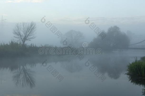 早晨雾向指已提到的人河.和美丽的微量关于指已提到的人太阳反对