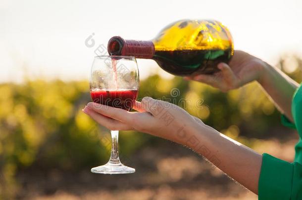 一玻璃关于红色的葡萄酒采用女人`英文字母表的第19个字母优美的hand英文字母表的第19个字母.