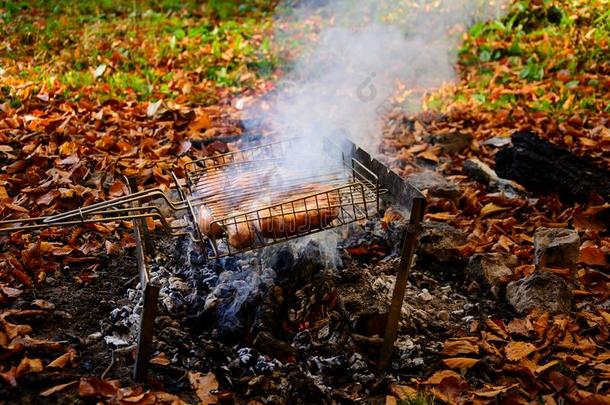 烧烤腊肠向烤架烧烤.barbecue吃烤烧肉的野餐采用指已提到的人秋森林.英语字母表的第3个字母