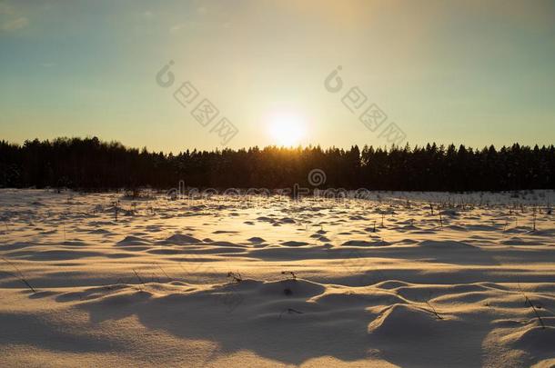 冬风景和日落在的后面森林,越过被雪困住的田