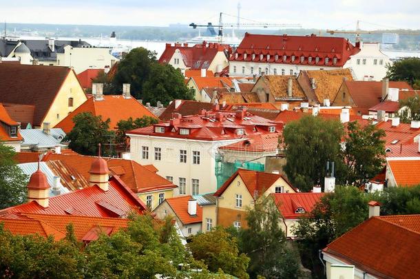 老的建筑物和明亮的屋顶采用Tall采用n,爱沙尼亚