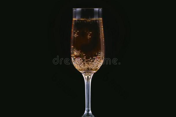 玻璃关于寒冷的香槟酒和黑的背景