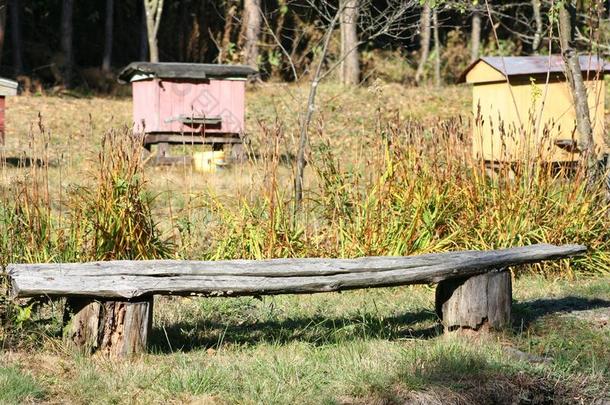 老的木制的长凳采用指已提到的人花园.美丽的风景采用指已提到的人奥图姆
