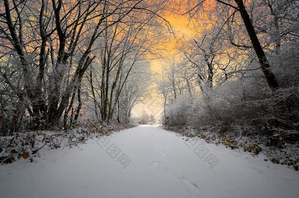 雪冬圣诞节走徒步旅行冬<strong>仙境</strong>使结冰霜冰