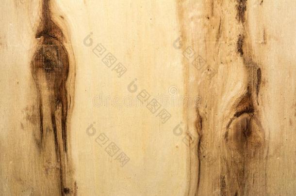 表面关于一木制的bo一rd和d一rk结一nd台词,桦树文本