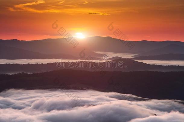 夏天气现象.季节的风景和早晨雾我